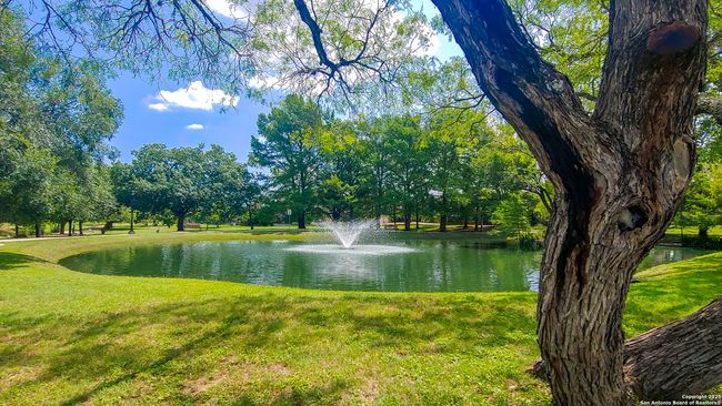 Takas Park | Image 81