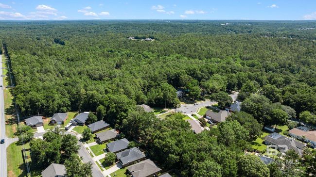 Aerial View | Image 59