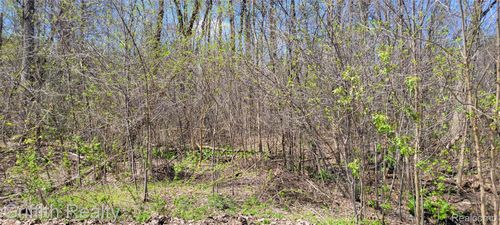 00 VL Pady, Brighton Township, MI, 48114 | Card Image