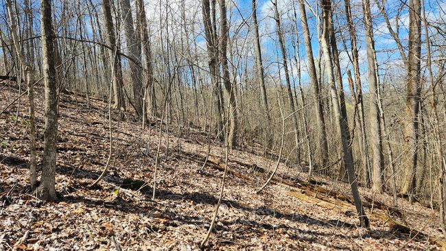 TRACT-2-PIKE-LAKE-GETAWA - 0 Pike Lake Rd, Home with 0 bedrooms, 0 bathrooms and null parking in Bainbridge OH | Image 34