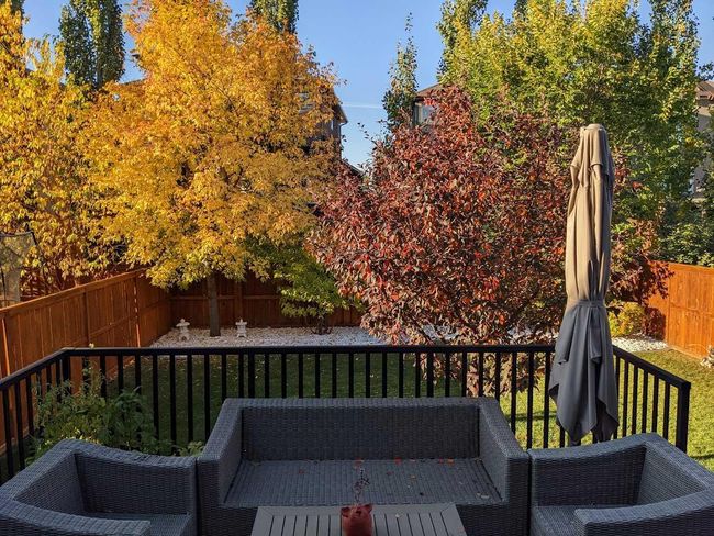 67 Tremblant Way Sw, Home with 3 bedrooms, 2 bathrooms and 2 parking in Calgary AB | Image 27