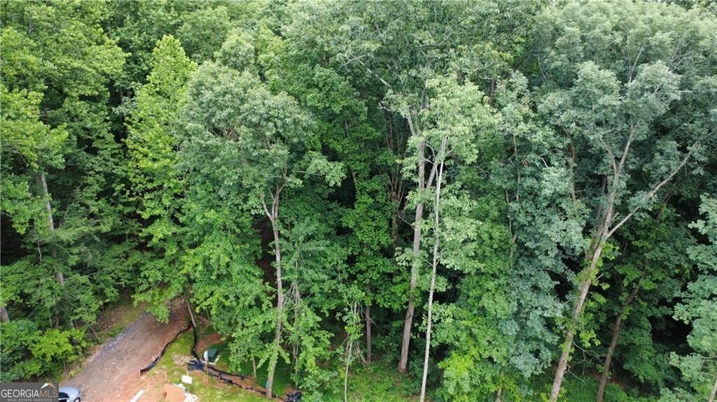 Land in Gainesville 2