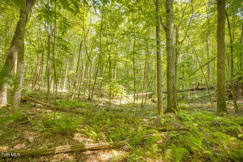 Lot 13 Black Bear Drive, Butler, TN, 37640 | Card Image