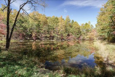 8.13 ac Harris Rd, Home with 0 bedrooms, 0 bathrooms and null parking in Monterey TN | Image 1