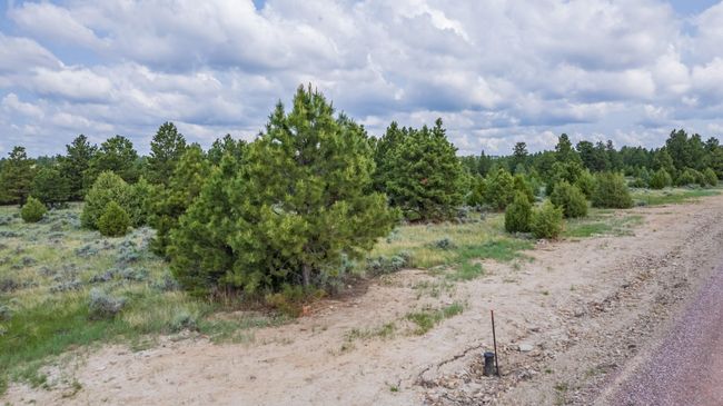 Lot 4 Sunset Ridge Road, Home with 0 bedrooms, 0 bathrooms and null parking in Newcastle WY | Image 9