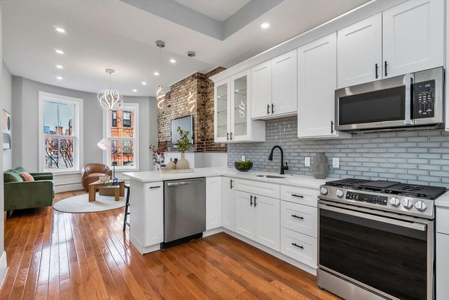 APT-1 - 162 W Concord St, Condo with 2 bedrooms, 2 bathrooms and 1 parking in Boston MA | Image 8