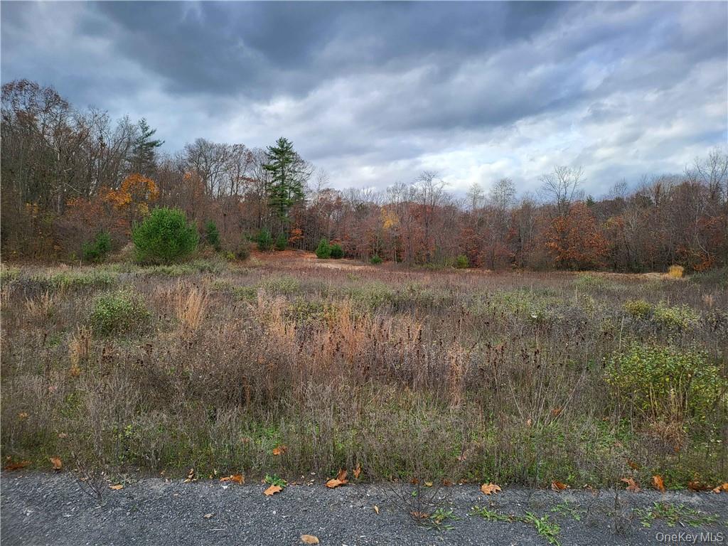 Land in Rosendale 4