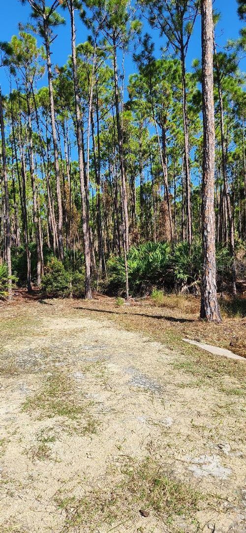 Lot 9 Sw 104th Ct, CEDAR KEY, FL, 32625 | Card Image