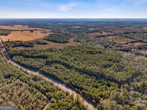 0 Highway 185, Saint George, GA, 31562 | Card Image