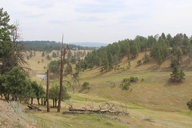 371 New Haven Rd, Home with 0 bedrooms, 0 bathrooms and null parking in Hulett WY | Image 31