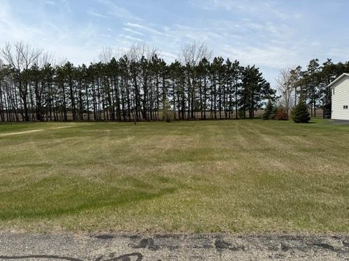 TBD 439th Avenue, Perham, MN, 56573 | Card Image