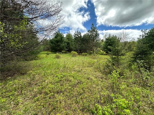 0 Pine Tree Rd, New Berlin, NY, 13411 | Card Image