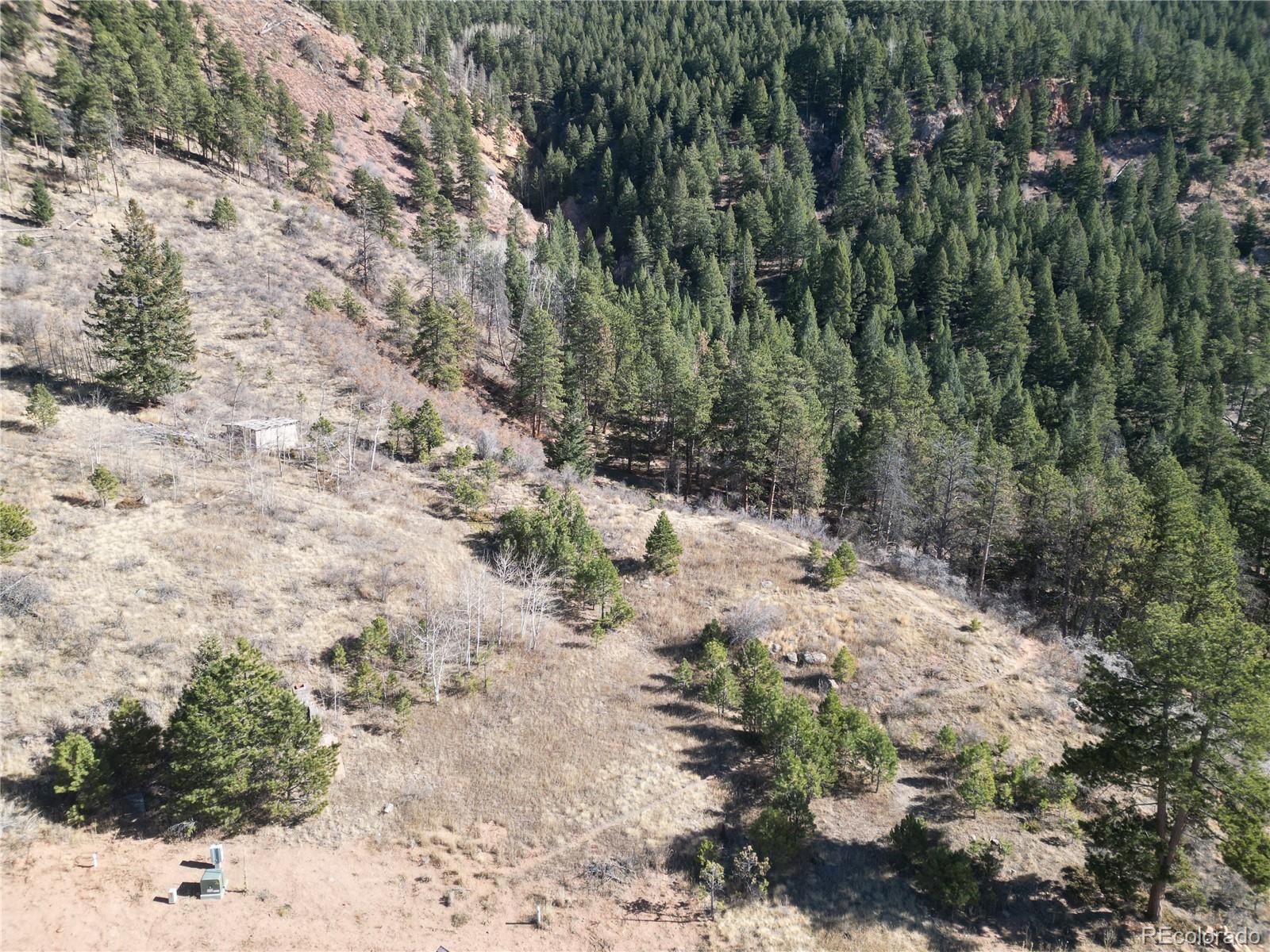 Land in Woodland Park