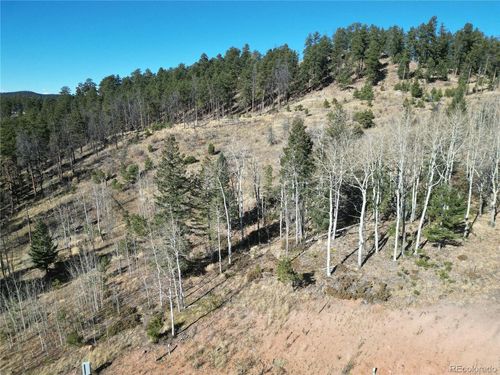 14 Blue Haven Pl, Woodland Park, CO, 80863 | Card Image