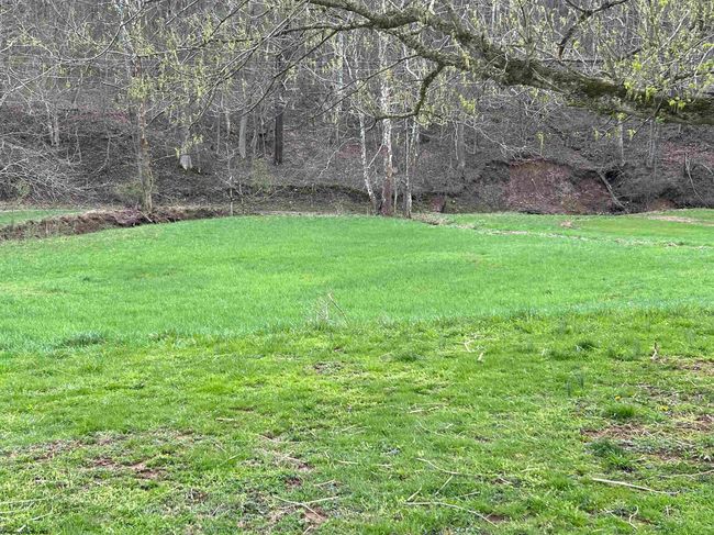 3730 Greenbrier Rd, Home with 3 bedrooms, 1 bathrooms and 3 parking in Salem WV | Image 12