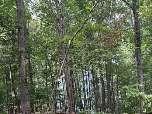 105 Great Camp Ct, Sunset, SC, 29685-1631 | Card Image