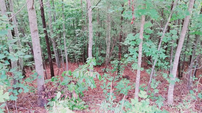 Right Boundary marker~~ | Image 23