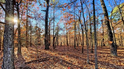 14 Big Bear Rd, Kansas, OK, 74347 | Card Image