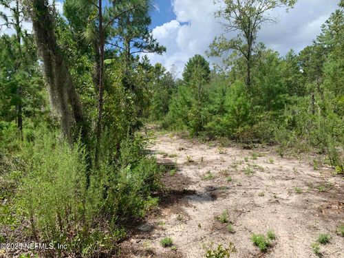 403 Lily Trl, Interlachen, FL, 32148 | Card Image