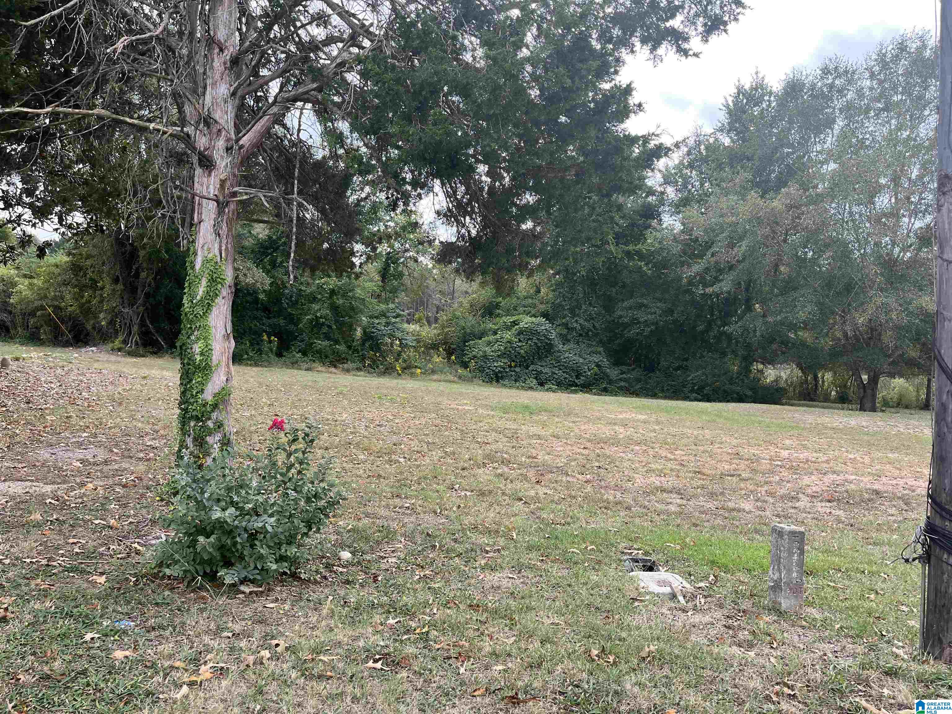Cogswell Ave, Pell City, AL 35125