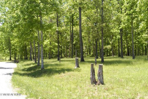 6 War Eagle Cir, Crossville, TN, 38572 | Card Image