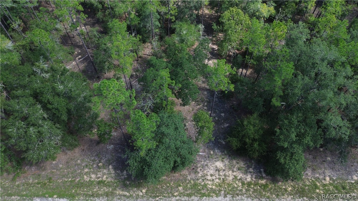 Land in Citrus Springs 2