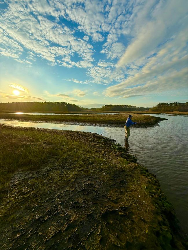 Fishing at the Marsh | Image 29