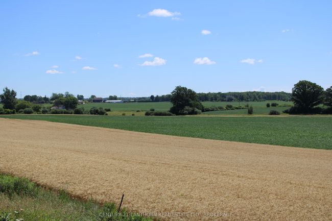 LT15-16 County 1 Road W, Home with 0 bedrooms, 0 bathrooms and null parking in Greater Napanee ON | Image 7