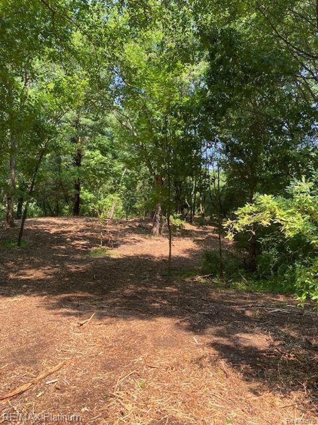6 Sleaford Parcel 6   2.1 Acres Road, Home with 0 bedrooms, 0 bathrooms and null parking in Howell Township MI | Image 16