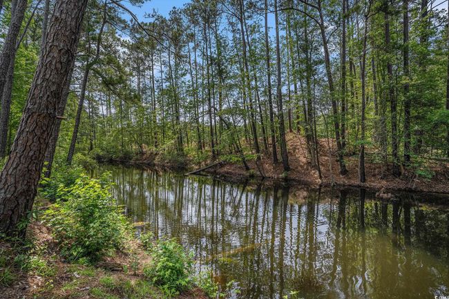 Water view | Image 35
