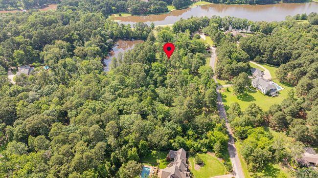 3 Bridle Path, Home with 0 bedrooms, 0 bathrooms and null parking in Longview TX | Image 17