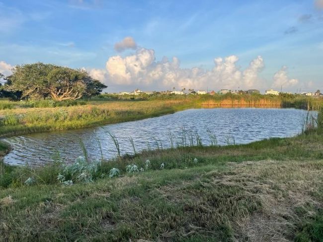 156 Dominguez Rd, Home with 0 bedrooms, 0 bathrooms and null parking in Aransas Pass TX | Image 16