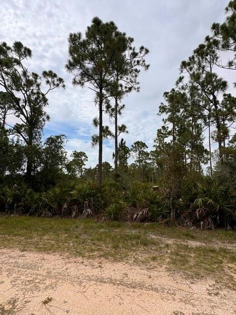 Land in PUNTA GORDA 3