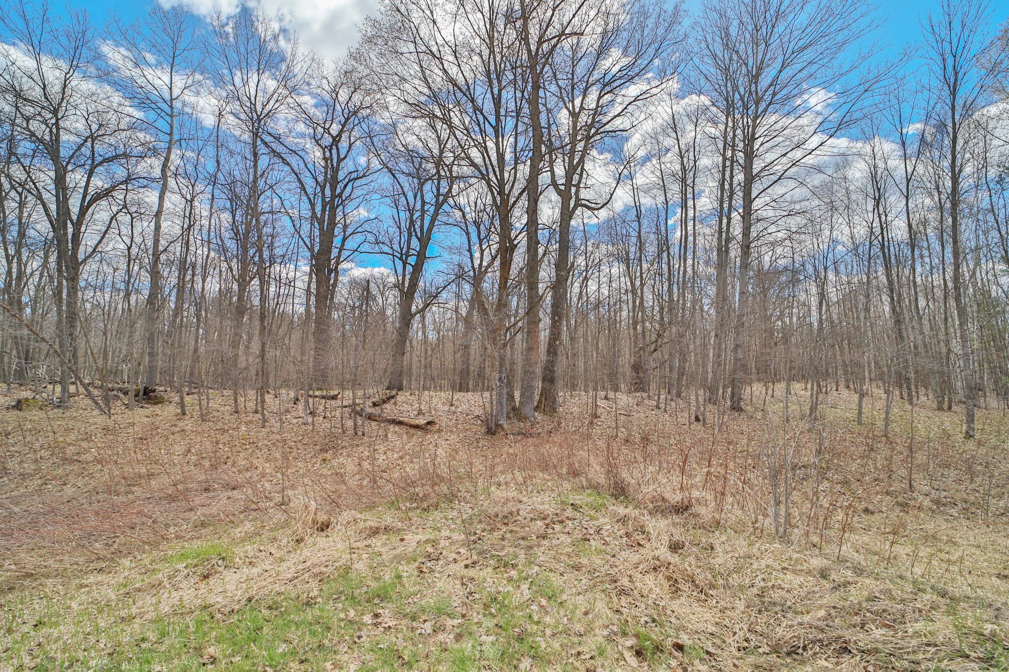 Land in Aitkin 2