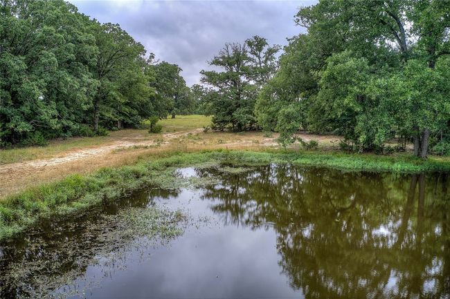 17133 Farm Road 1567 W, Home with 2 bedrooms, 1 bathrooms and null parking in Lone Oak TX | Image 26