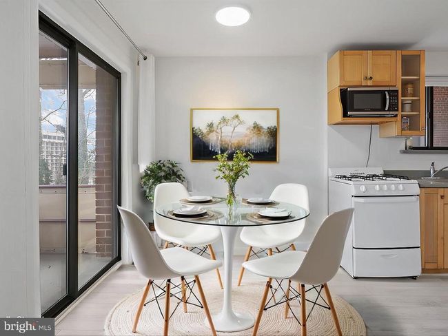 APT-201-X - 1581 N Colonial Ter, Condo with 2 bedrooms, 1 bathrooms and null parking in ARLINGTON VA | Image 4