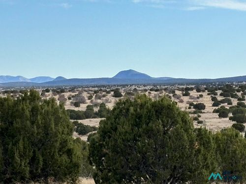 24-0 Lot 24 Pinon Springs, Magdalena, NM, 87825 | Card Image