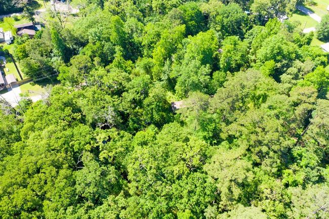 11 - 10 Rabbit Run, Home with 0 bedrooms, 0 bathrooms and null parking in Trinity TX | Image 10