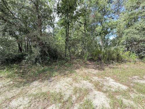 TBD Sw 65th Avenue Rd, Ocala, FL, 34476 | Card Image