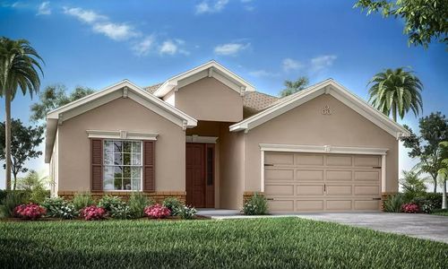217 Dancing Dahlia Street, Ruskin, FL, 33570 | Card Image