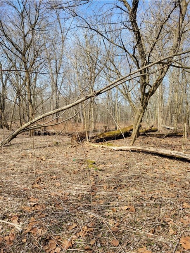0 River Rd, Home with 0 bedrooms, 0 bathrooms and null parking in Wampum PA | Image 6