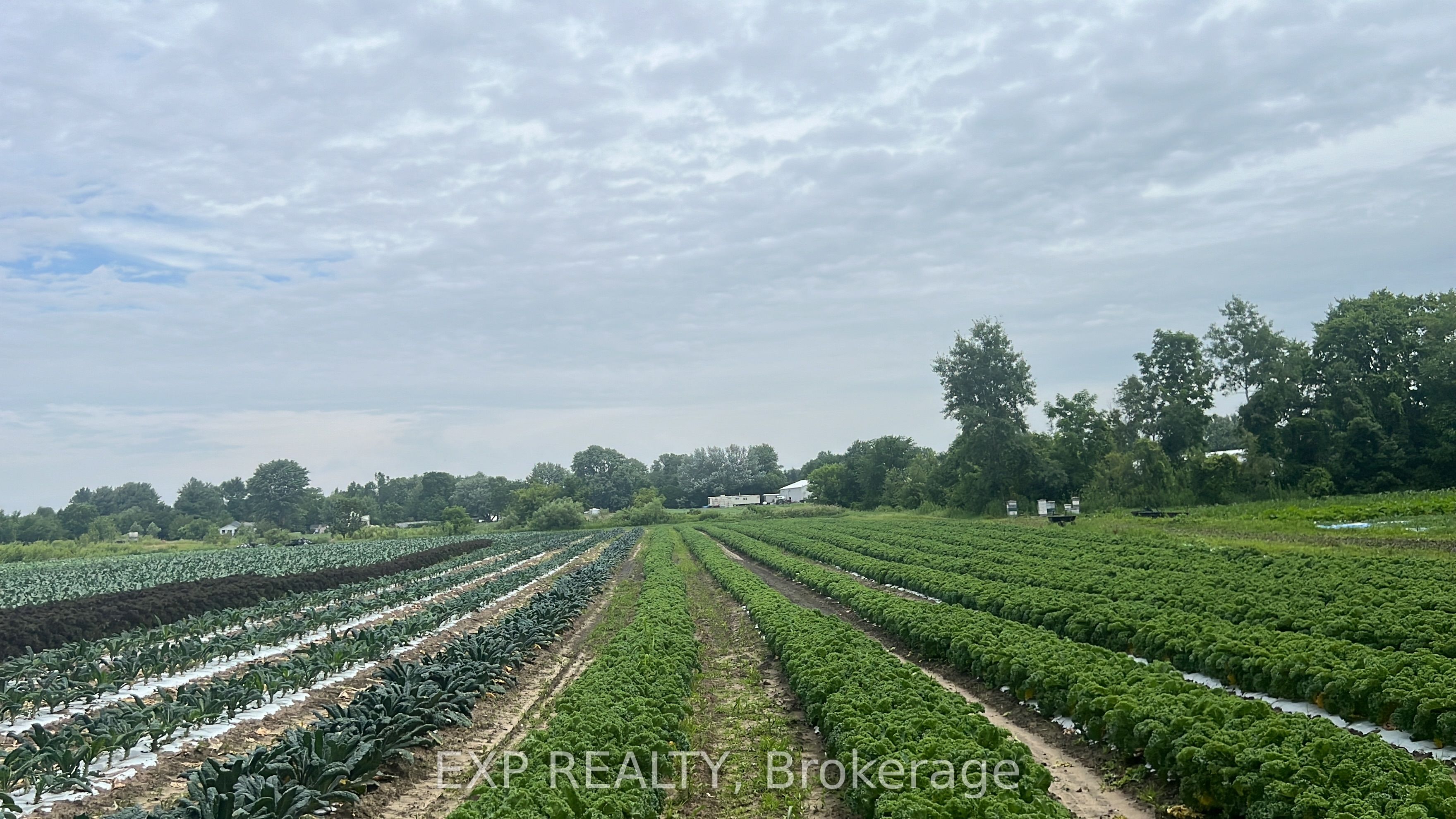 Commercial Sale in Southwest Middlesex 2