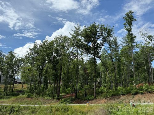 207 Cascade Ridge Road, Fairview, NC, 28730 | Card Image