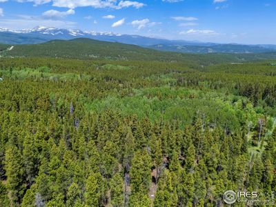 Groves of Aspens, meadows, seasonal stream & mature evergreens | Image 2