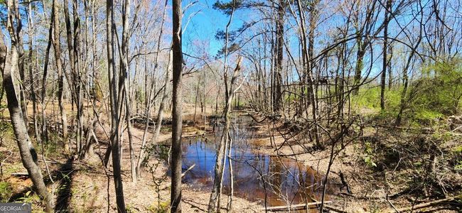 5757 Jeffersonville Rd, Home with 0 bedrooms, 0 bathrooms and null parking in Dry Branch GA | Image 5