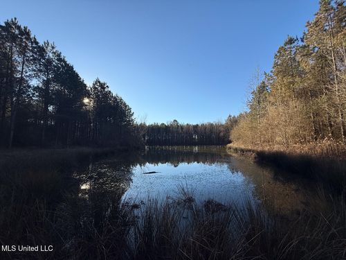 1145 Ludlow Road, Lena, MS, 39094 | Card Image