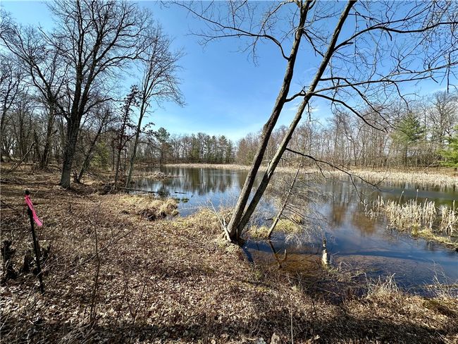 16 295th Street, Home with 0 bedrooms, 0 bathrooms and null parking in Holcombe WI | Image 26
