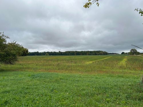 Parcel 5 Woodland Rd, Woodland, MI, 48897 | Card Image