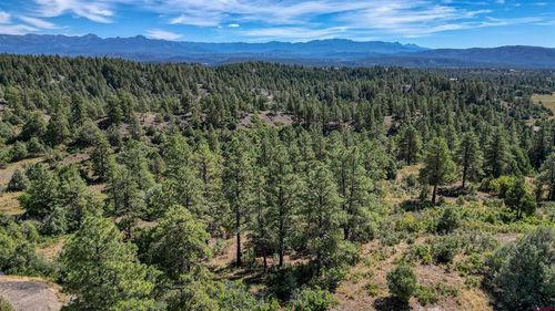 128 S Feather Ct, Pagosa Springs, CO, 81147-0007 | Card Image