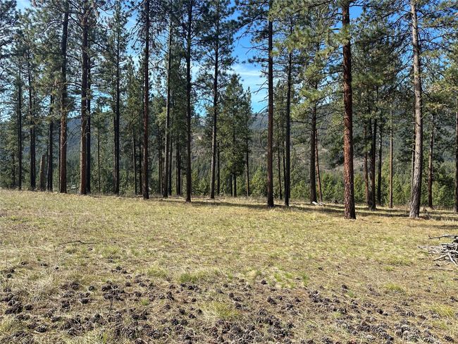 31760 Old Highway 10 W, Home with 0 bedrooms, 0 bathrooms and null parking in Alberton MT | Image 10